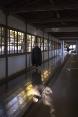 午後の日差し