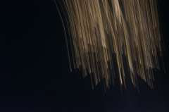 しだれてる〜。