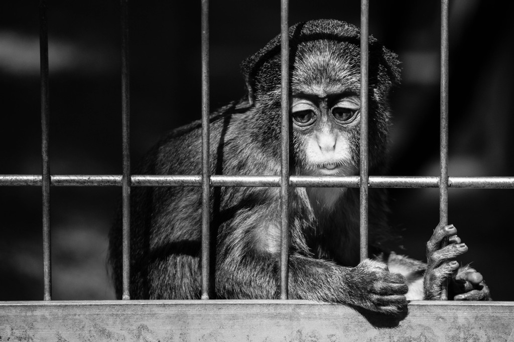 born behind bars