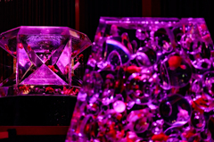 Art-Aquarium.09.02.2015-29