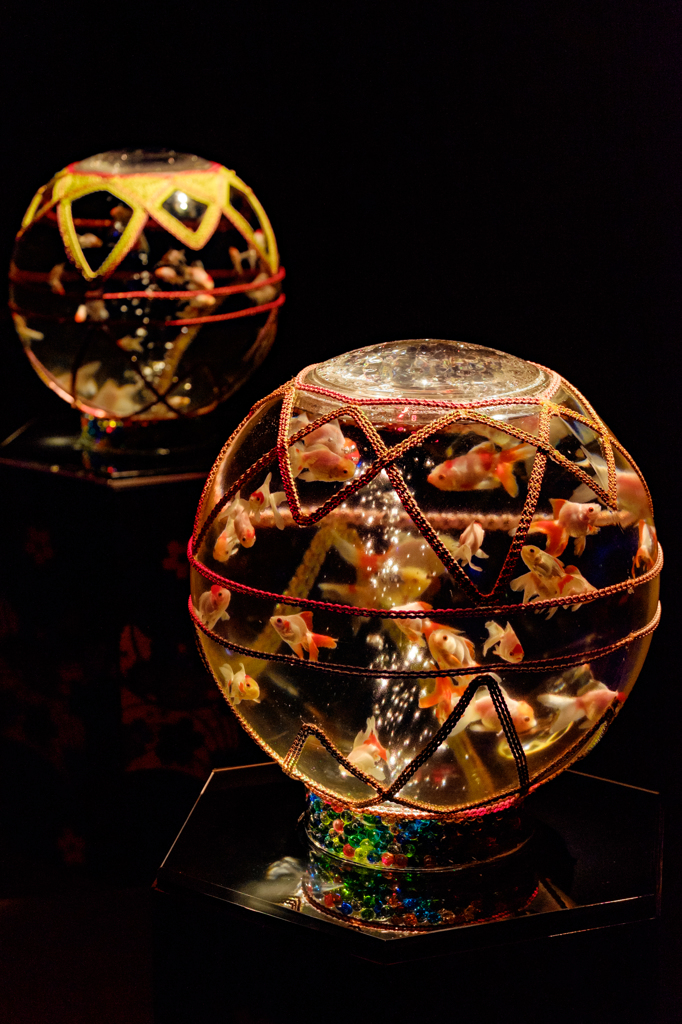 Art-Aquarium.09.02.2015-28