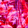 Art-Aquarium.09.02.2015-15