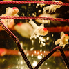 Art-Aquarium.09.02.2015-27