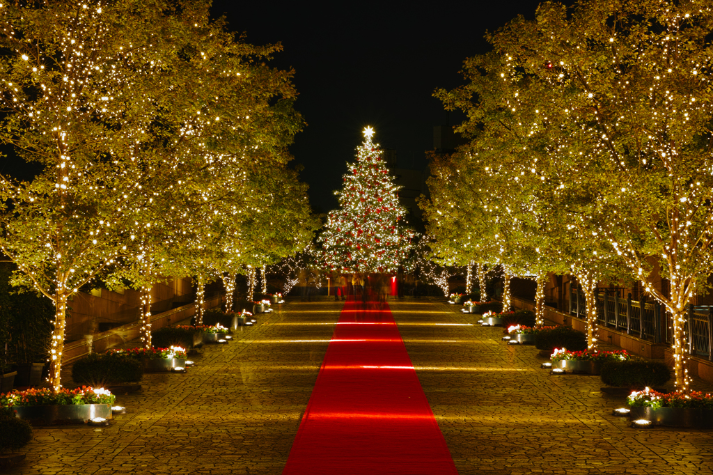 YEBISU GARDEN PLACE ~Winter Illumination