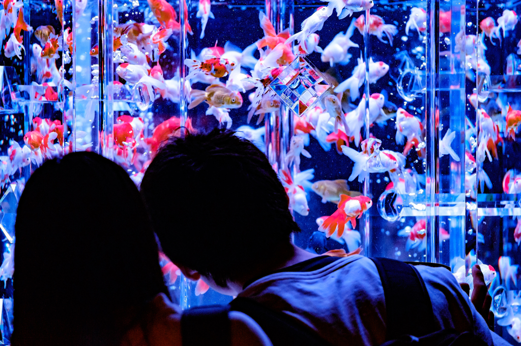 Art-Love/Aquarium.09.02.2015-32