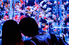 Art-Love/Aquarium.09.02.2015-32