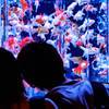 Art-Love/Aquarium.09.02.2015-32