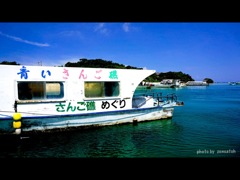 石垣島川平湾のグラスボート
