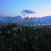夕景KINGDOM