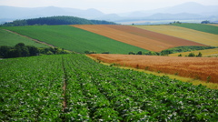 DSC05621 (1)