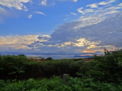 DSC04173 (1)