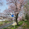 娘たちの通学路