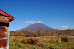 秋は羊蹄山