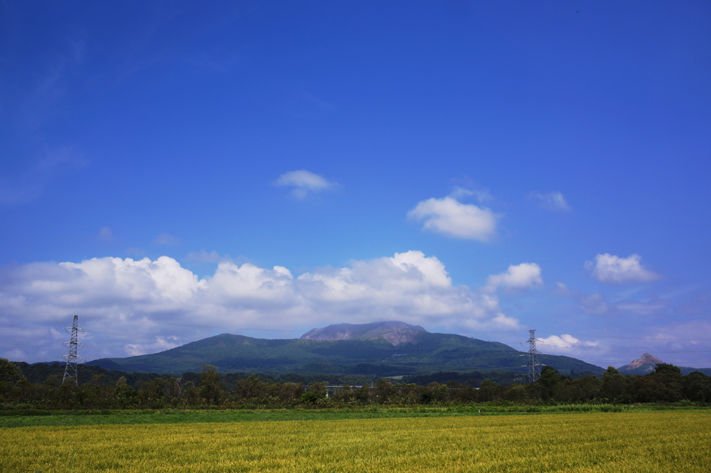 DSC00125 (1)