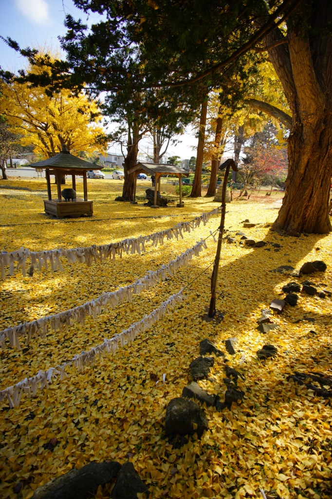 晩秋の有珠善光寺