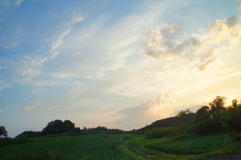 DSC05103 (1)