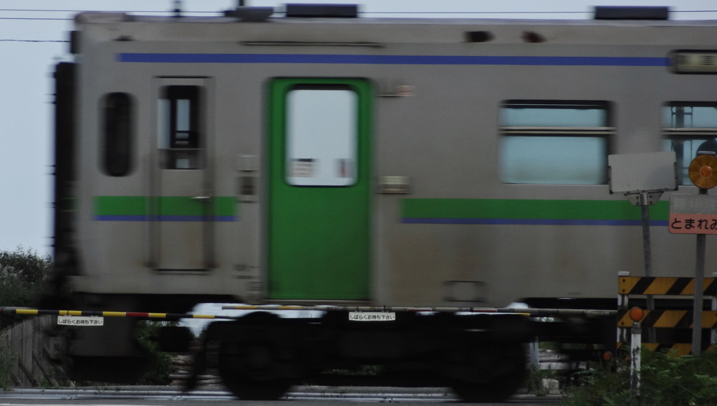 DSC04145 (1)