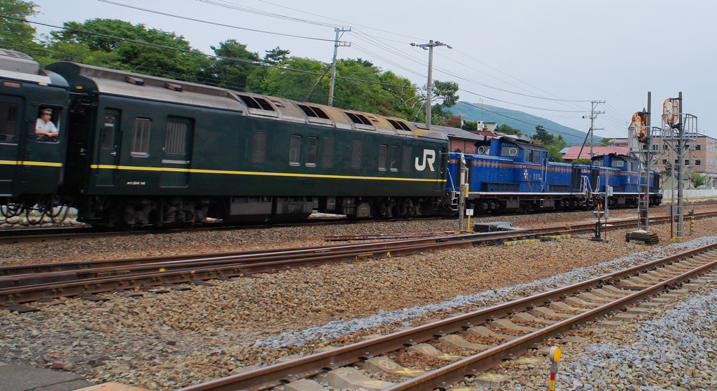 DSC05681 (2)