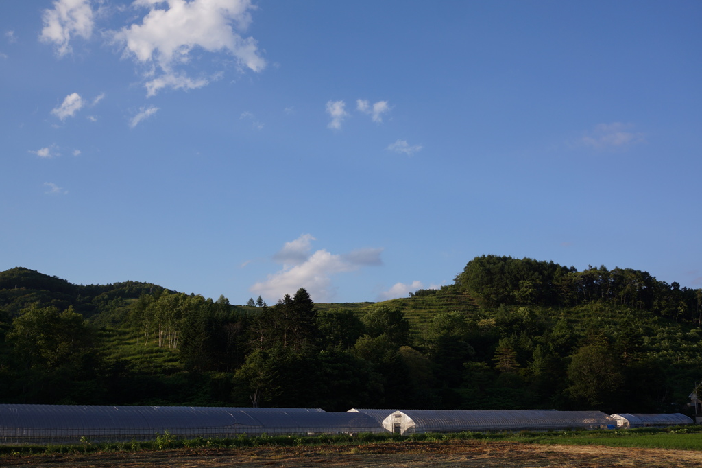 DSC04082 (1)