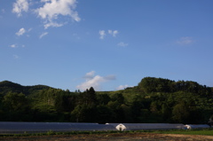 DSC04082 (1)