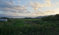 静狩の光景