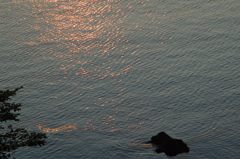 DSC_0436 (1)