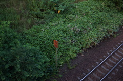 DSC08179