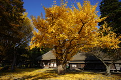 晩秋の有珠善光寺