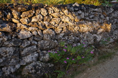 竹富島早朝　石垣