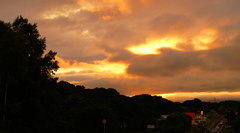 DSC04892 (2)