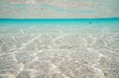 与論島 百合が浜の水中写真