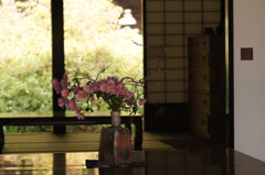 伊達有珠善光寺