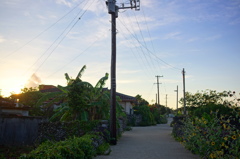 竹富島早朝　白い道