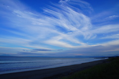 DSC05565 (1)