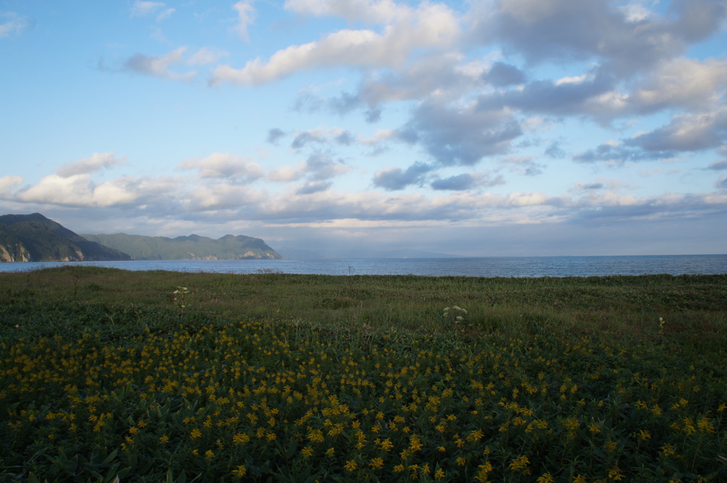 静狩海岸風景
