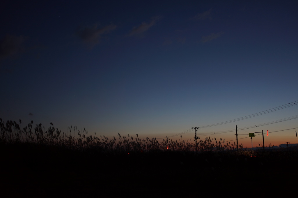 ススキ夕景