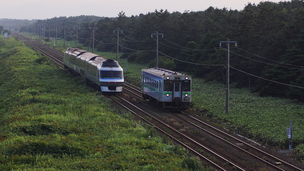 DSC07567 (1)