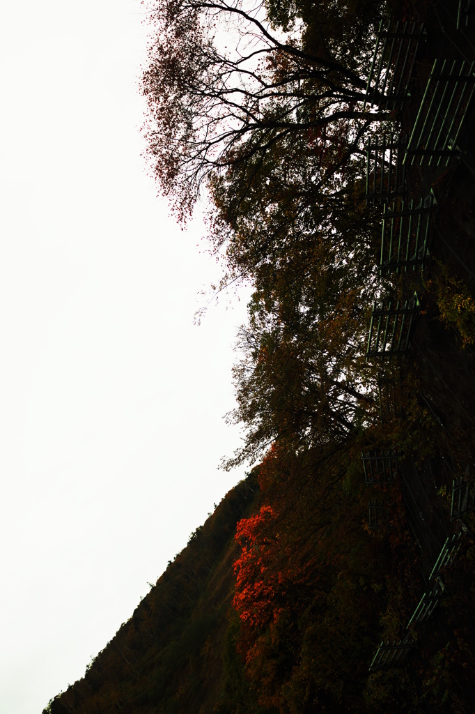 静狩峠の秋
