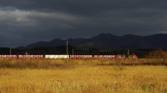 貨物列車の走る風景