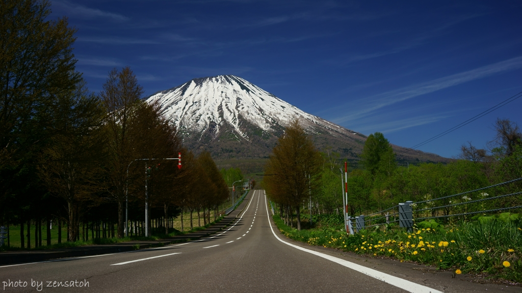羊蹄山春景　真狩高校付近から