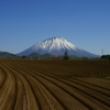 羊蹄山春景 真狩村の畑から