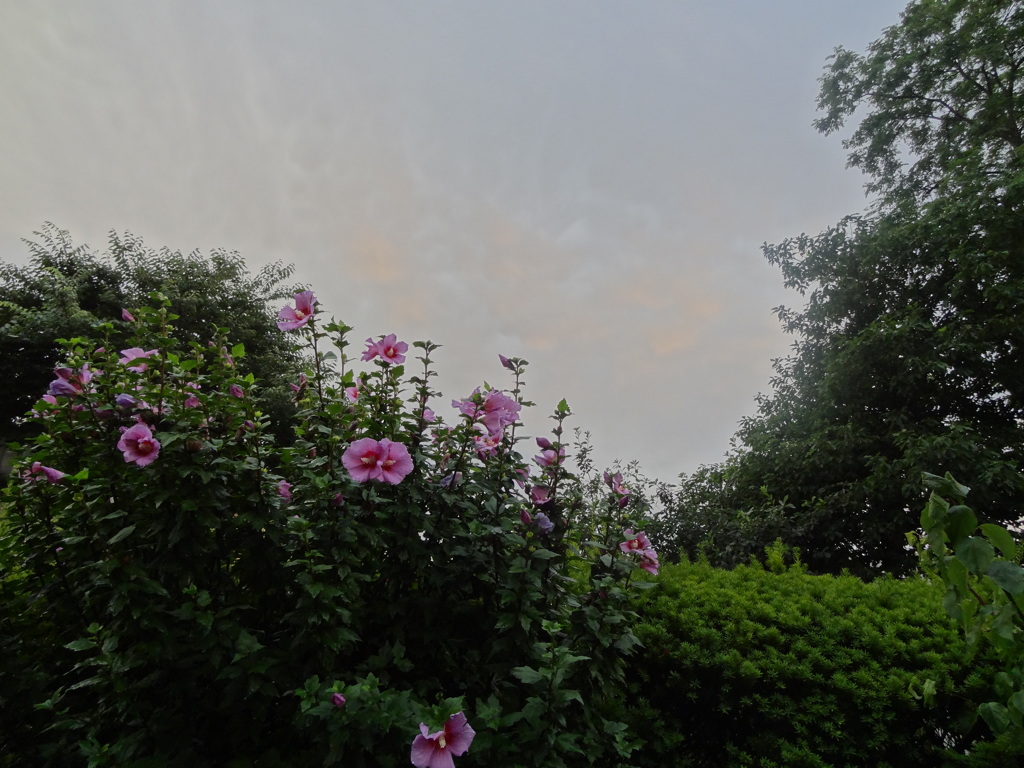 DSC04069