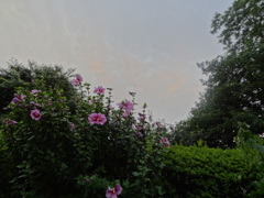 DSC04069