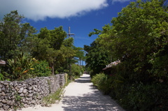 竹富島にて