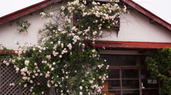 DSC02483 (1)