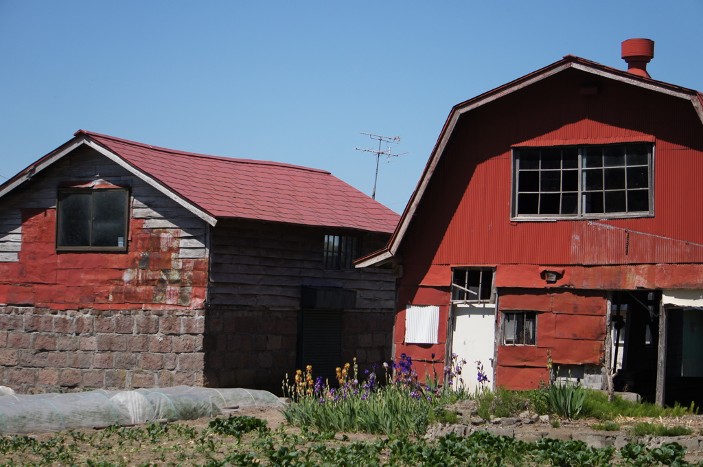 DSC09540