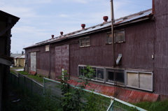 DSC09911