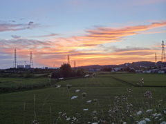 DSC04310