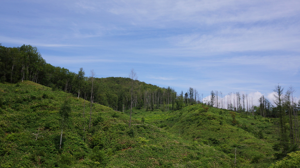 DSC09820 (1)