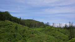 DSC09820 (1)
